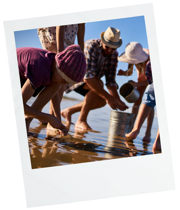 Beach-Combing-Tour-Polaroid