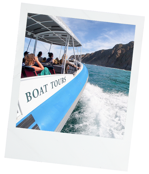 The-Big-Duck-Boat-Tours-Polaroid